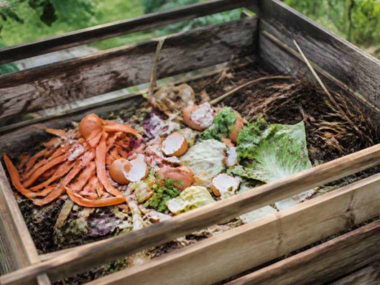 Bac à compost : quels aliments éviter pour un compost sain