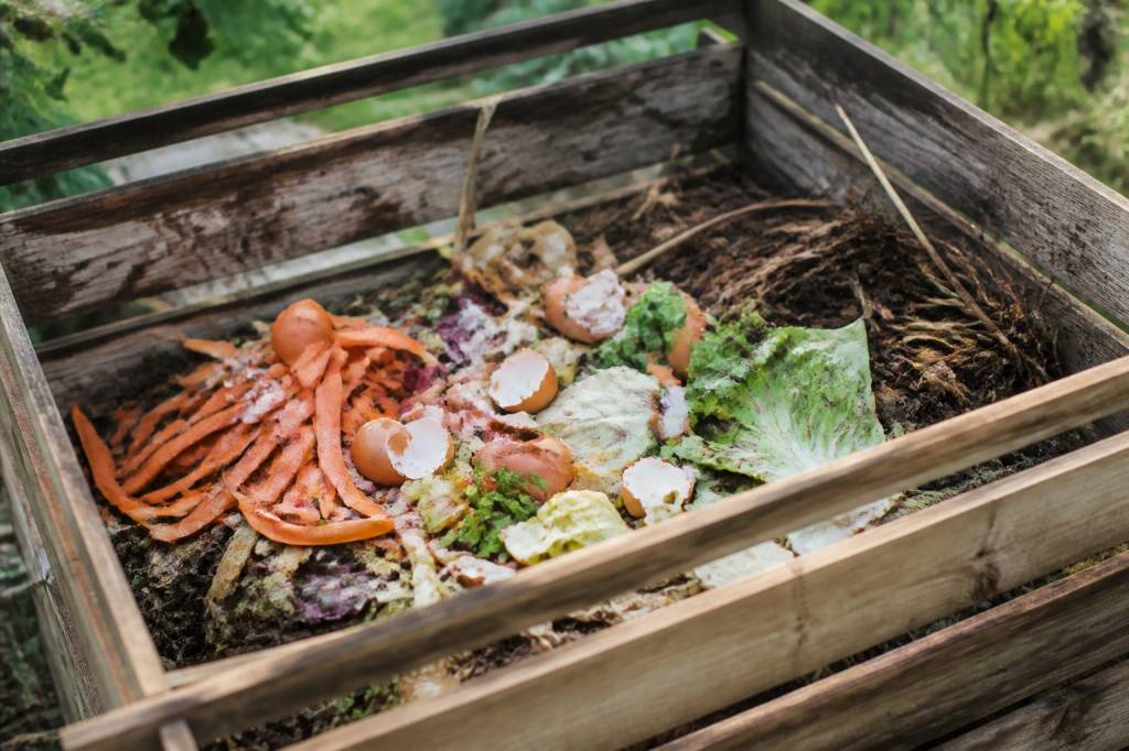 Bac à compost : quels aliments éviter pour un compost sain