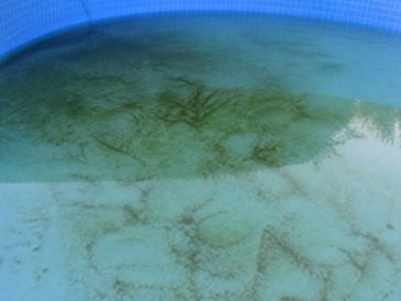 Piscine : ma piscine sent la vase, que faire ? Solutions et entretien