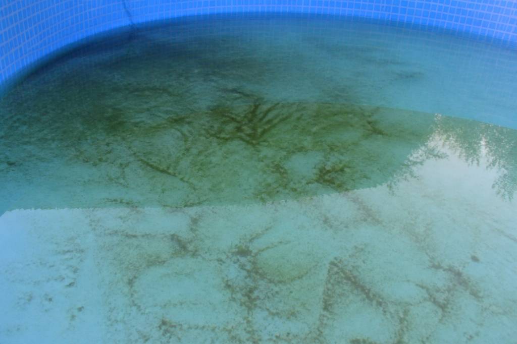 Piscine : ma piscine sent la vase, que faire ? Solutions et entretien