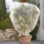 Bac à compost : quels aliments éviter pour un compost sain