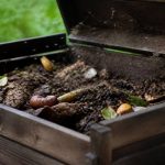 Composer un bouquet de saison avec les fleurs du jardin : idées et astuces