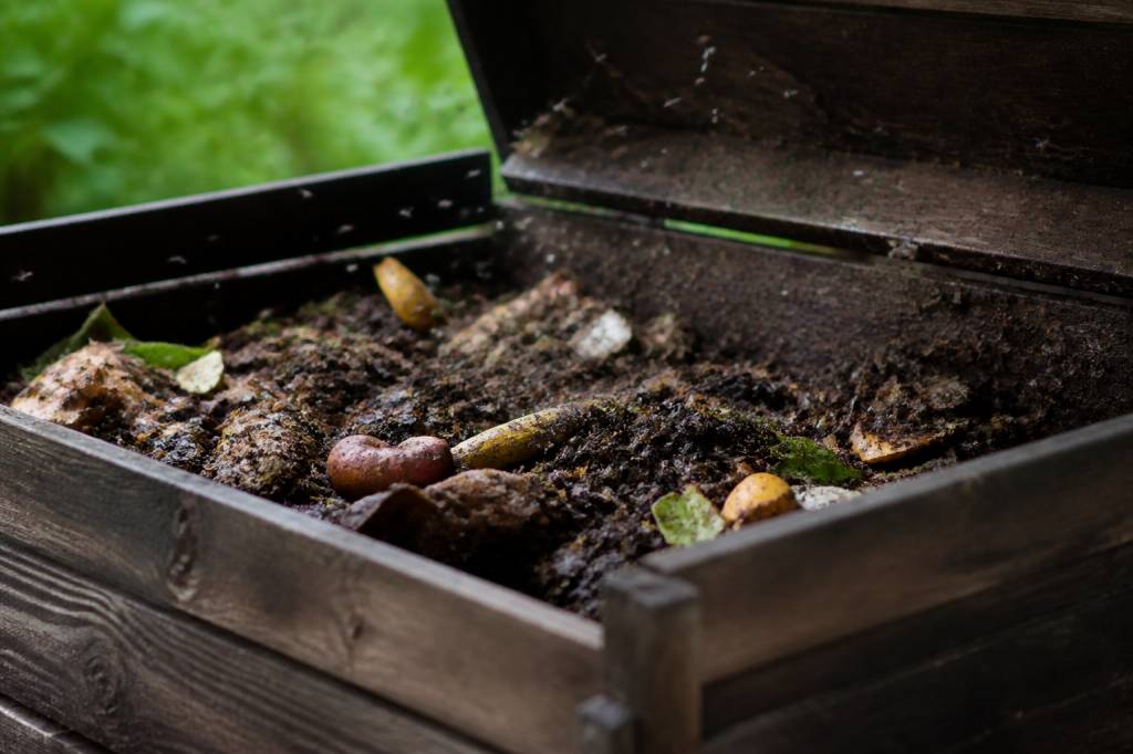 Moucherons dans le compost : causes et solutions pour les éliminer