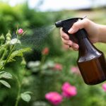 Cochenilles sur citronnier : traitements naturels et gestes préventifs