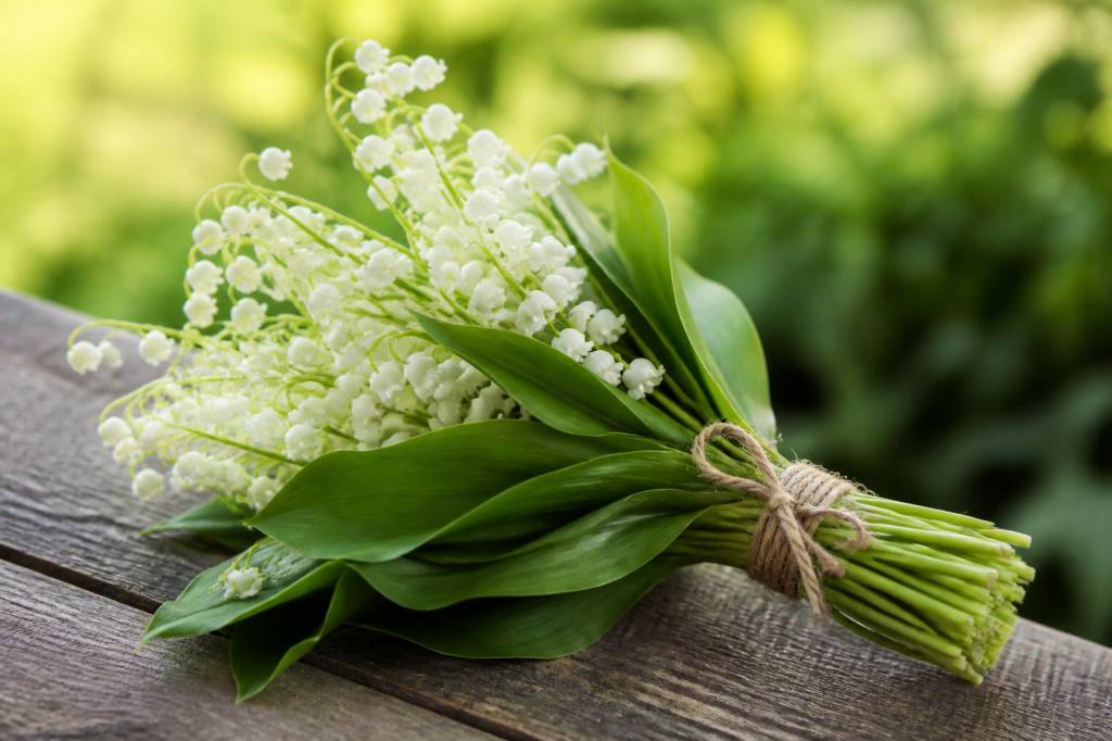 Le 1er mai muguet porte bonheur : signification et traditions