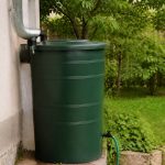Nuisibles : comment éloigner les souris du jardin potager ?