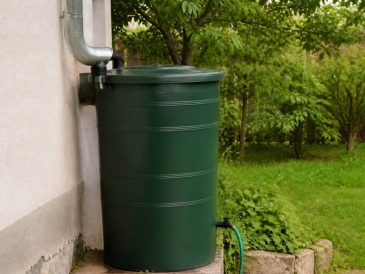 Installer une récupération d’eau de pluie chez soi : guide pratique pour débuter