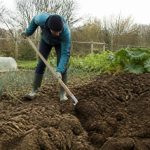 Quand retourner la terre du potager : le bon moment selon les saisons et la nature du sol