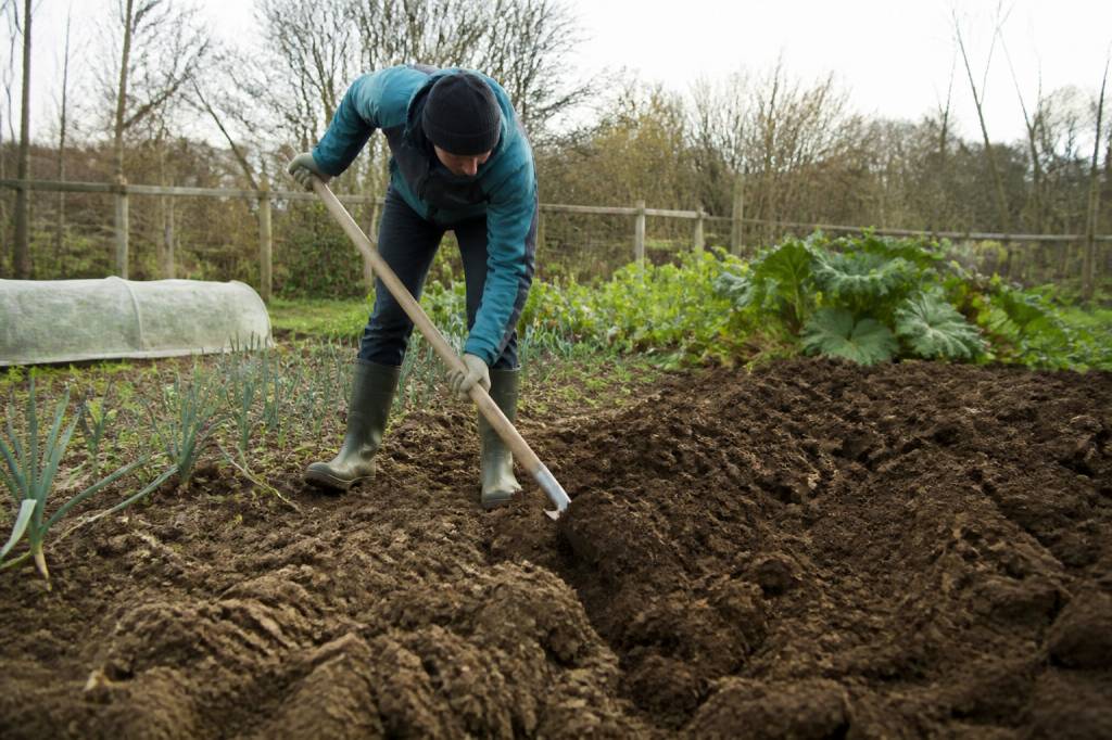 Quand retourner la terre du potager : le bon moment selon les saisons et la nature du sol