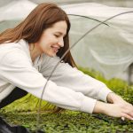 Comment choisir un voile d’hivernage adapté à ses plantes
